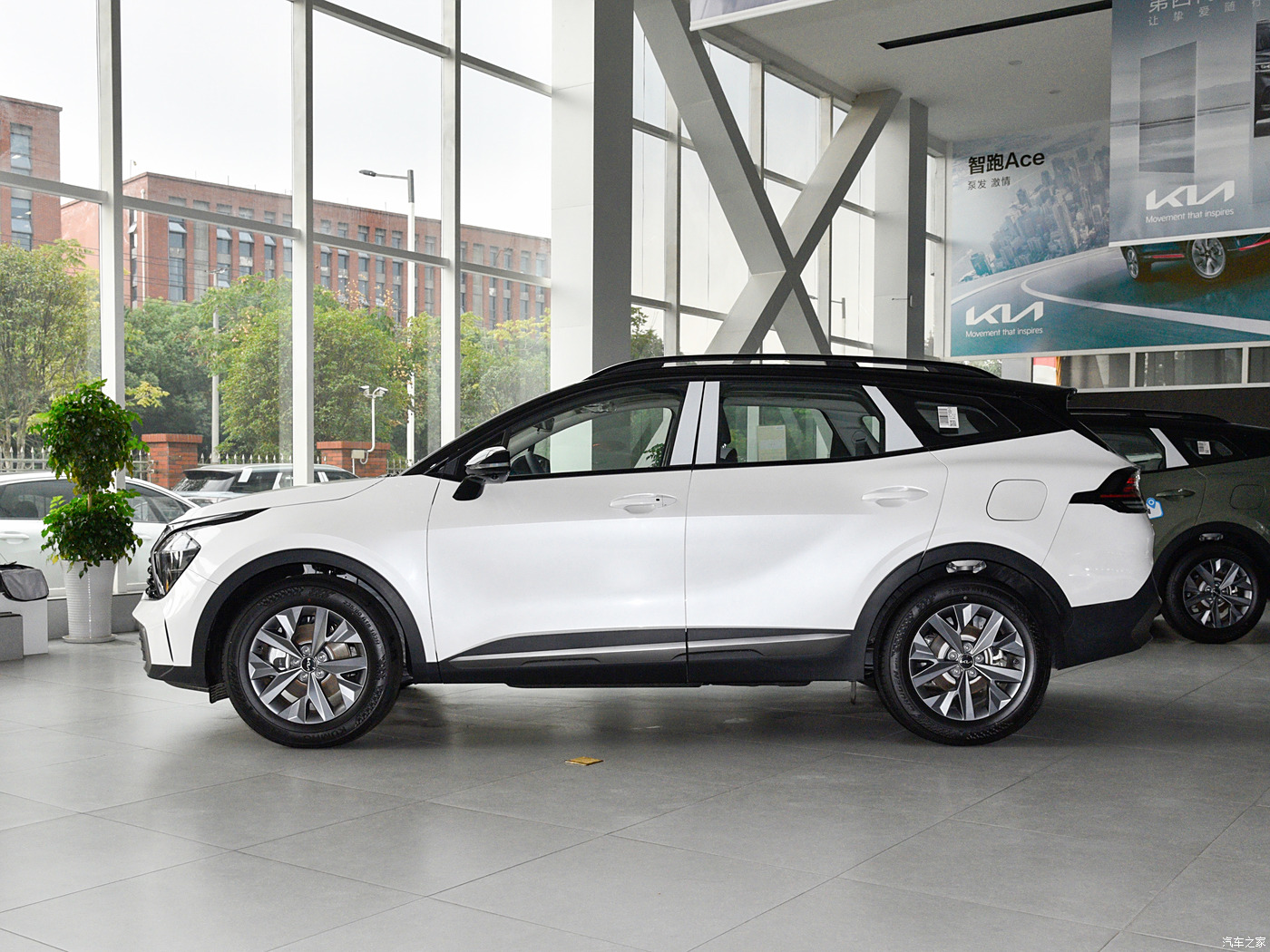 Panda Car Export