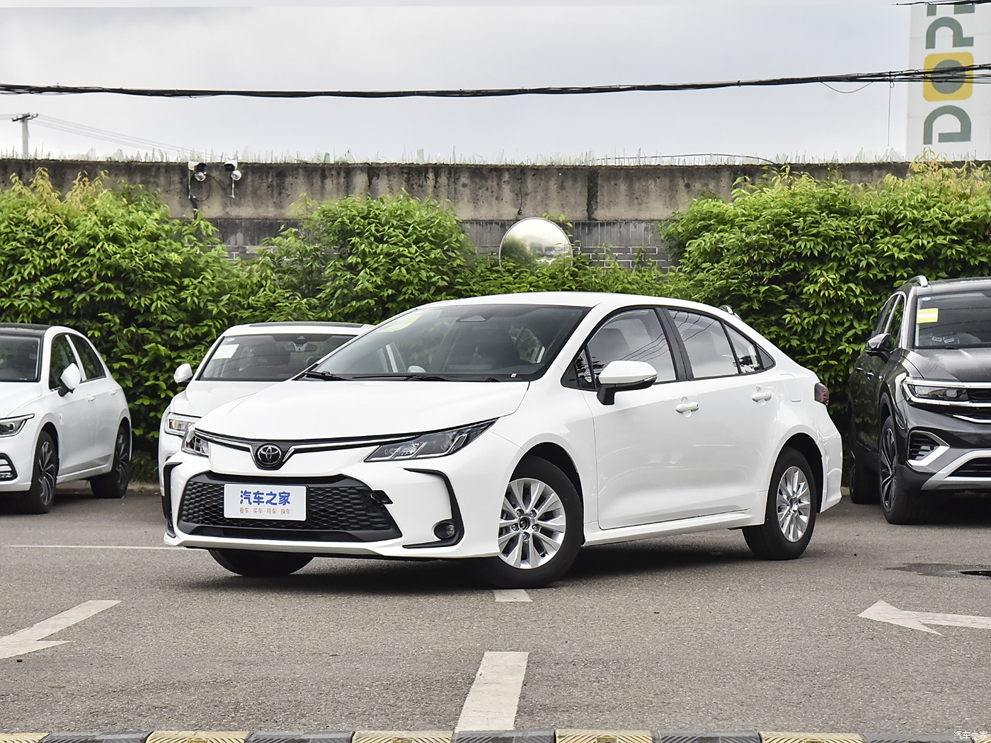 Corolla