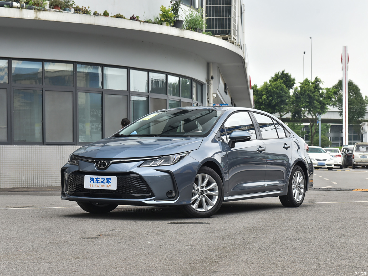 Corolla