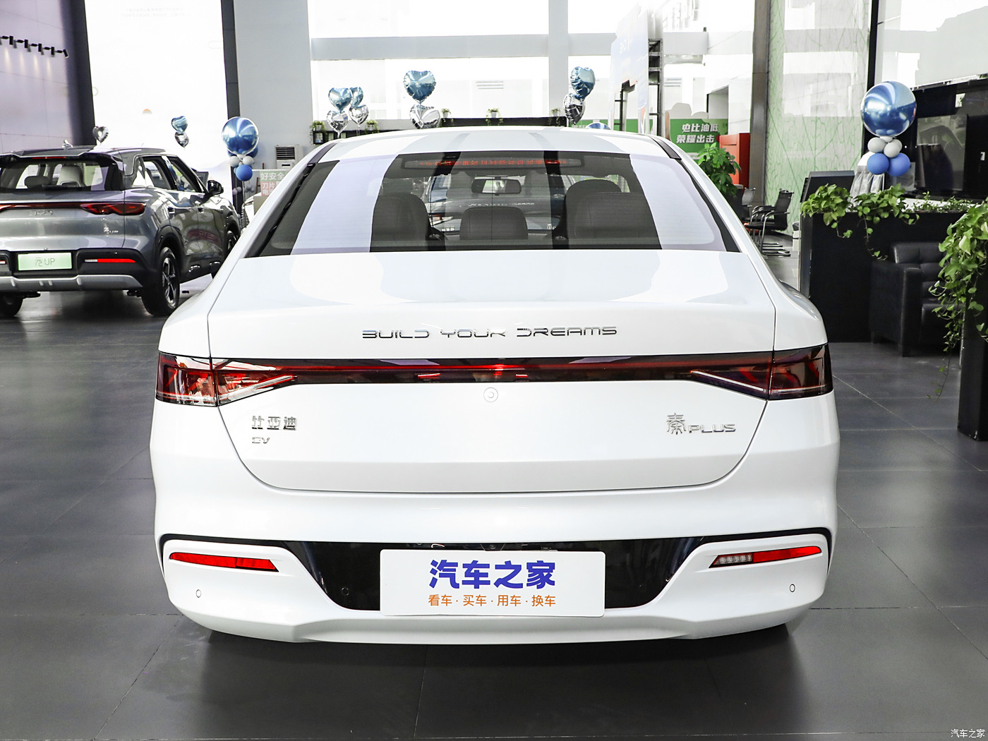 Qin Plus